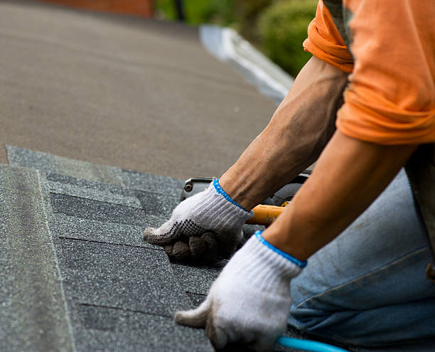 Best Roof Gutter Cleaning  in Valhalla, NY
